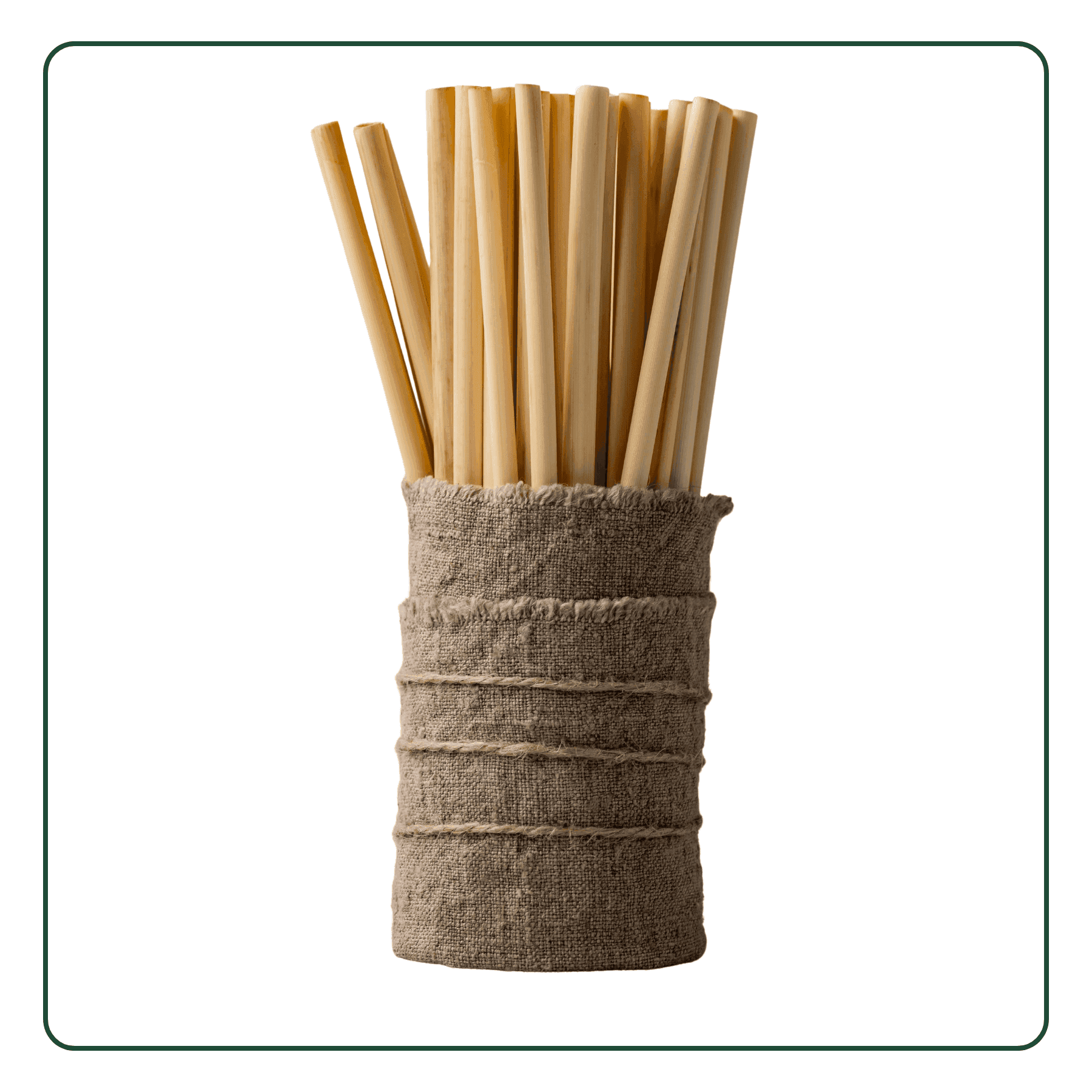 Sugarcane Straws