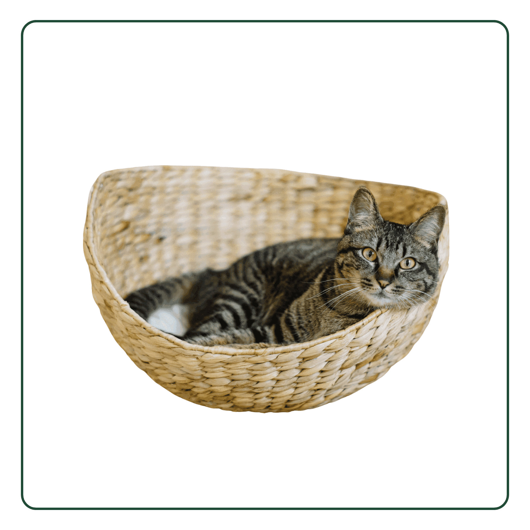 Rattan Pet Bed