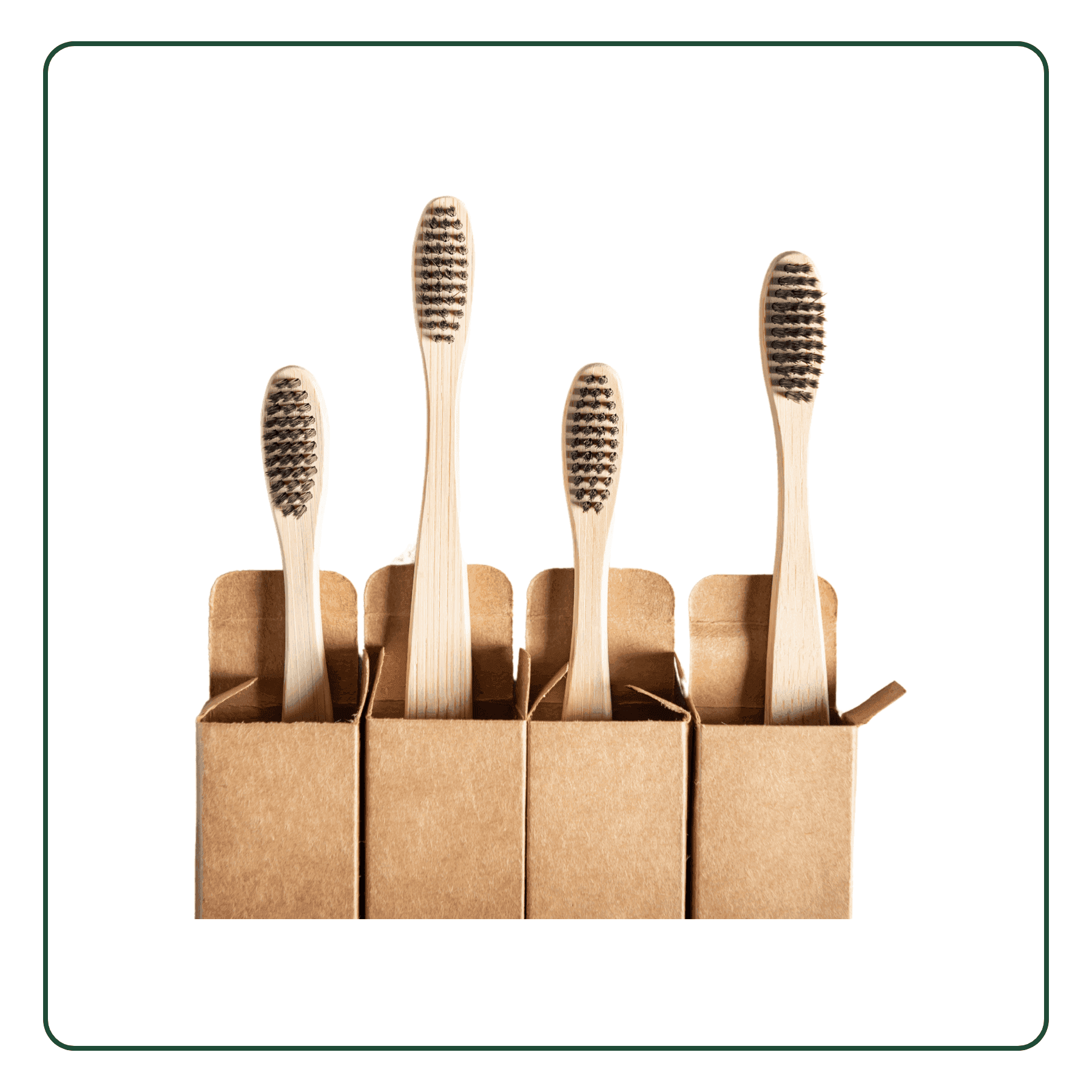 Bamboo Toothbrush
