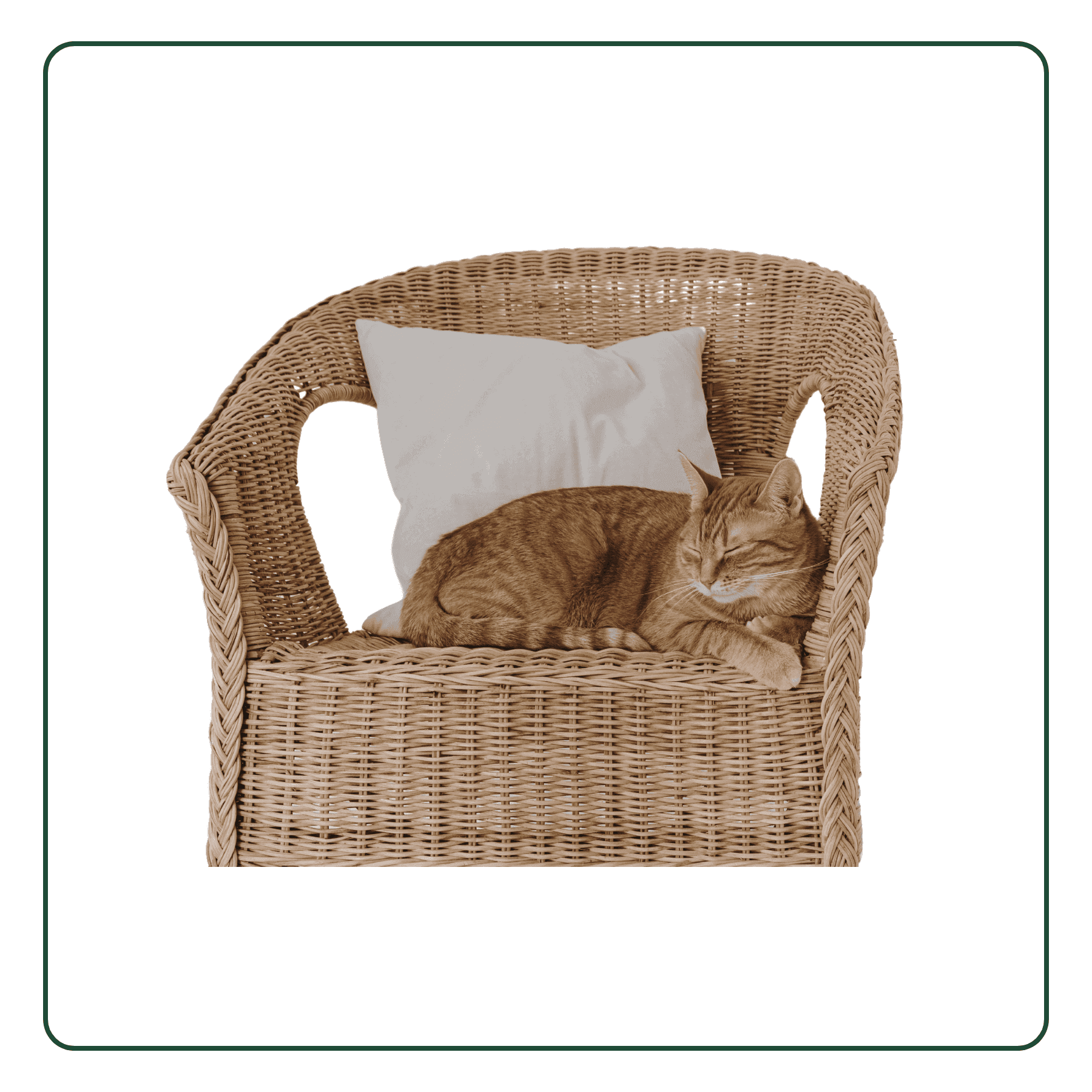 Rattan Chair