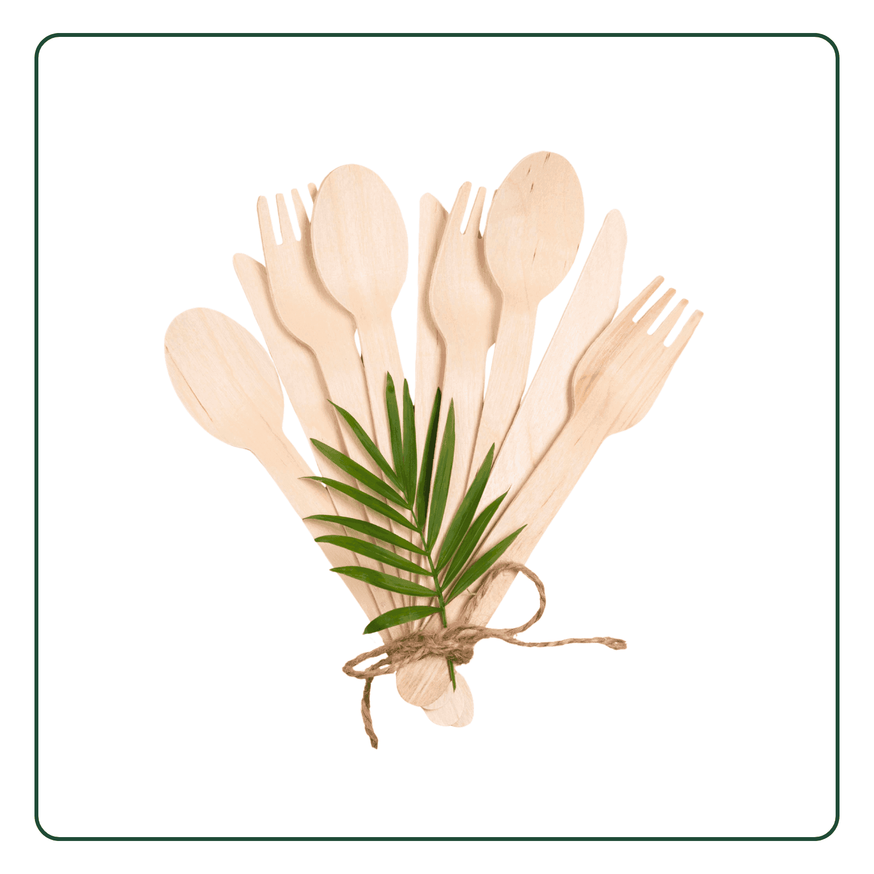 Sugarcane Utensils