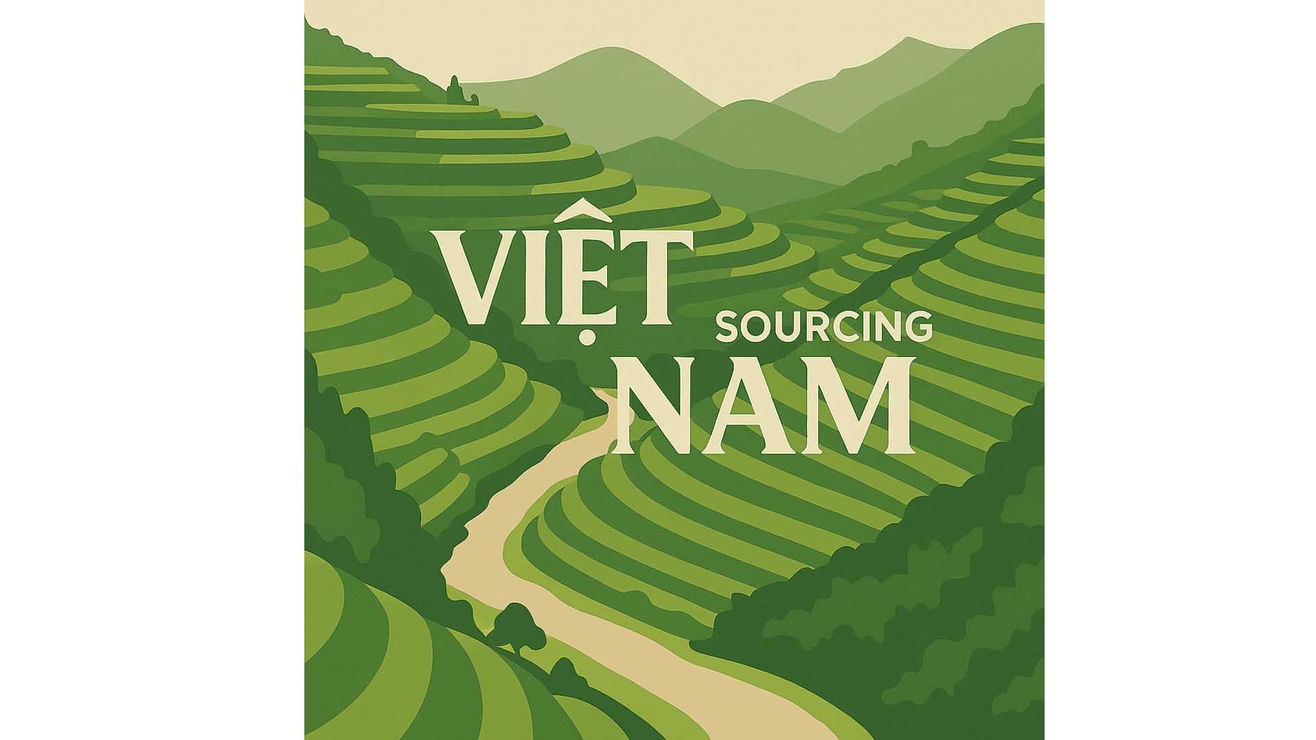 Sourcing Vietnam Agent: A Vital Link